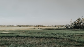 Spacious plot of land with clear boundaries and green grass.