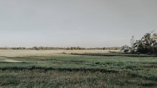 A wide open plot of land with green grass and distant trees.