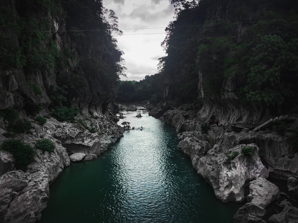 river between green trees during daytime