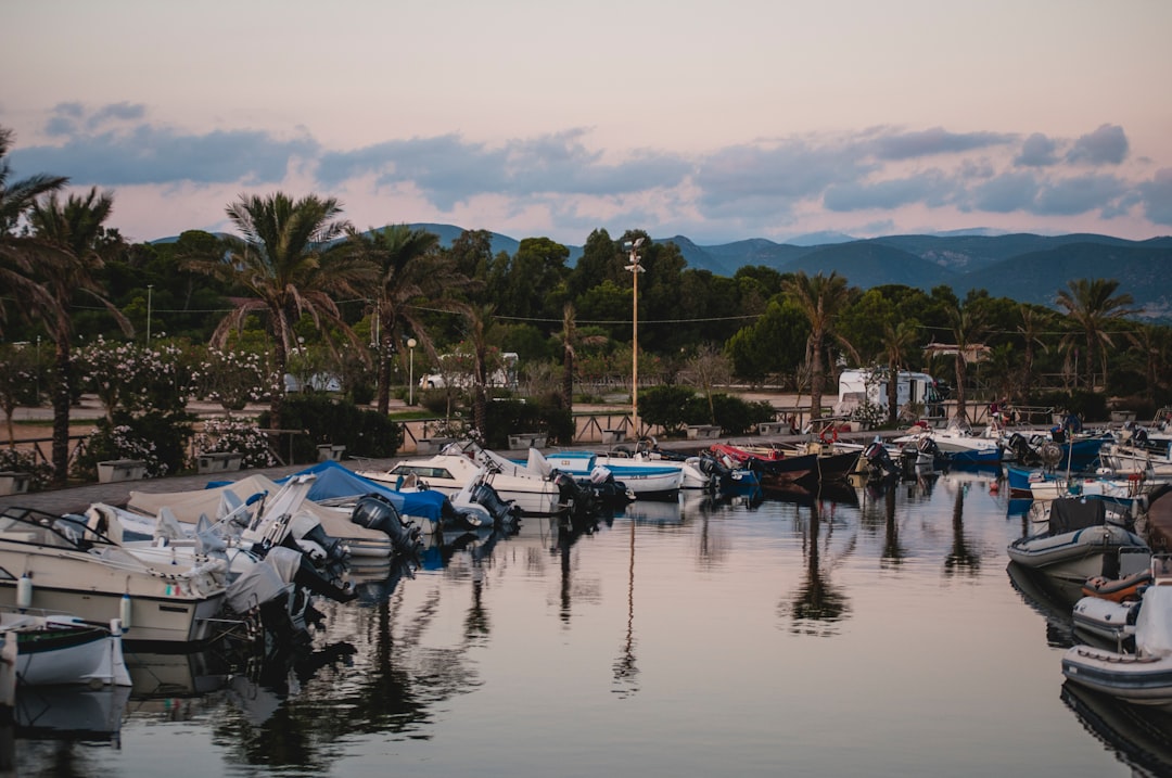 boats on dock during daytime