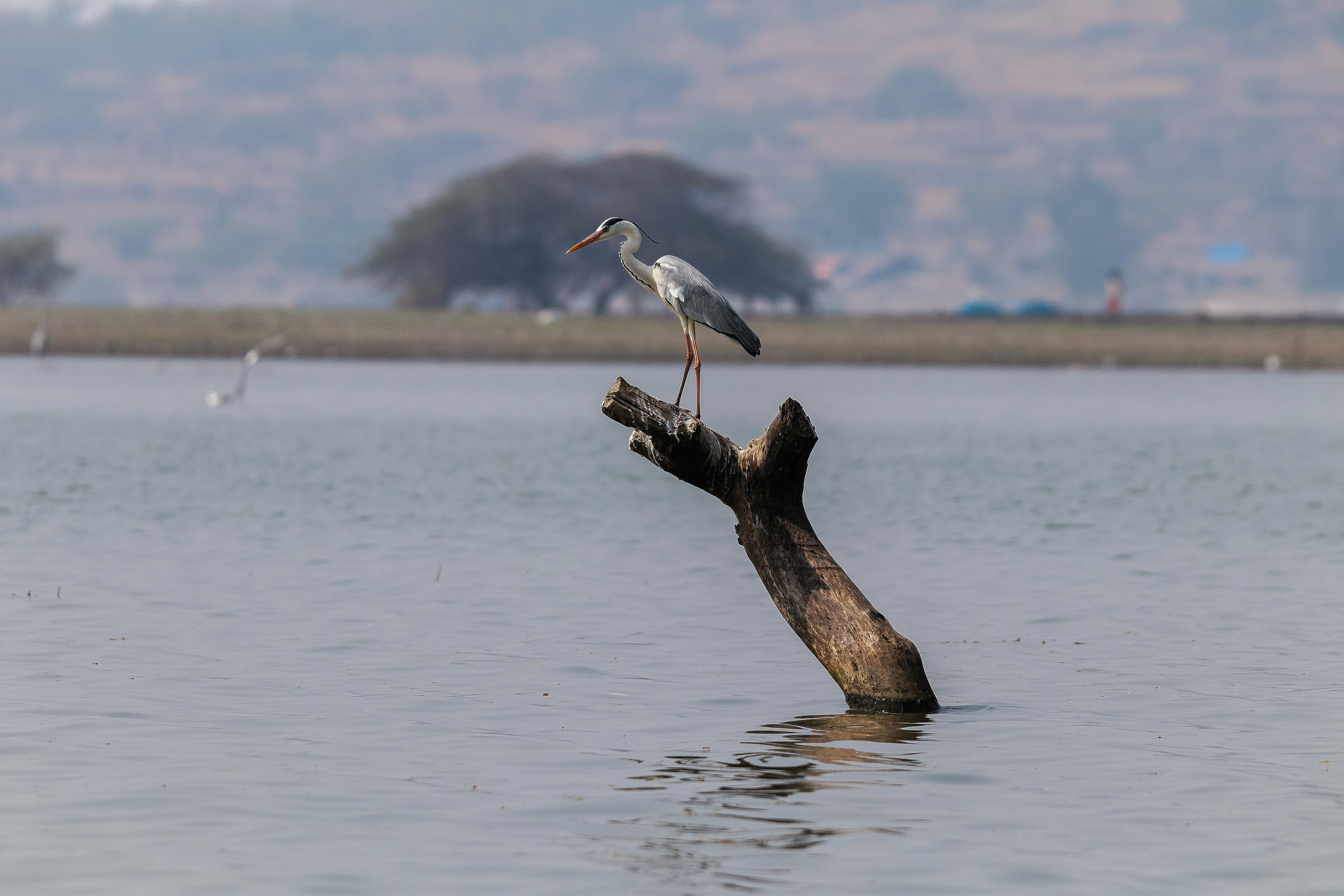 Photo by theshutterhub