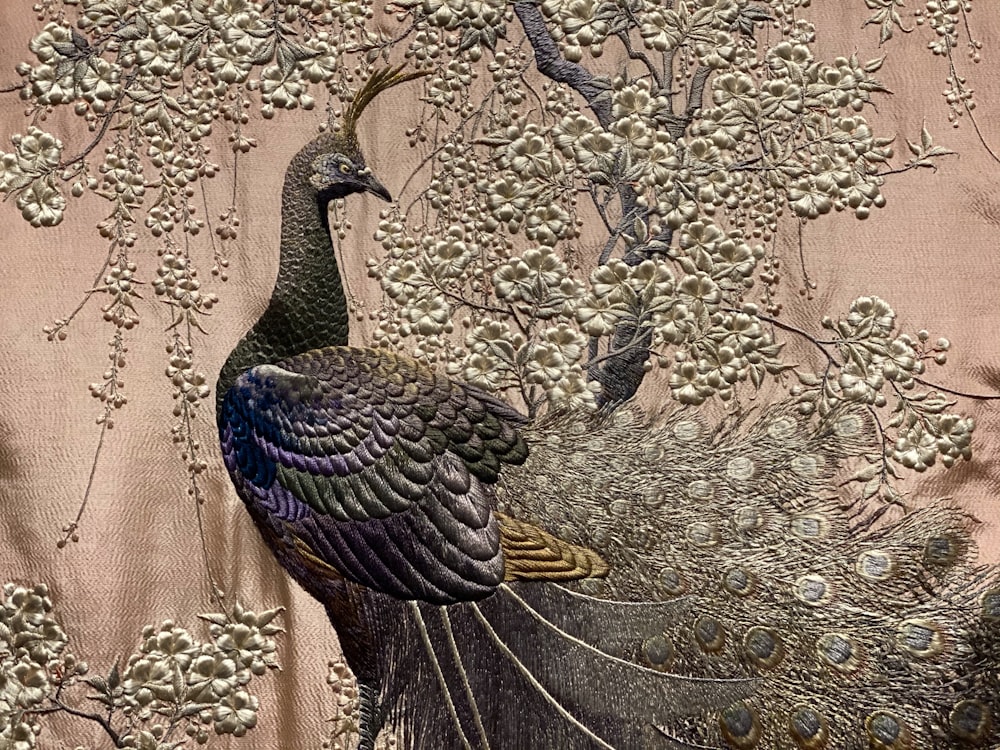 blue green and black peacock on brown dried leaves