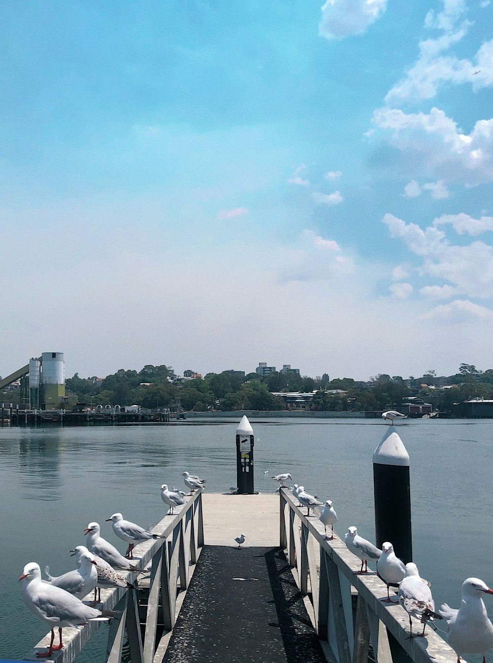 people sitting on wooden dock during daytime