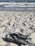 A pair of black flip-flops rests on a sandy beach, with grains of sand stuck to them. In the background, waves crash against the shore and blurry figures can be seen in the water.