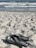 A pair of black flip-flops rests on a sandy beach, with grains of sand stuck to them. In the background, waves crash against the shore and blurry figures can be seen in the water.