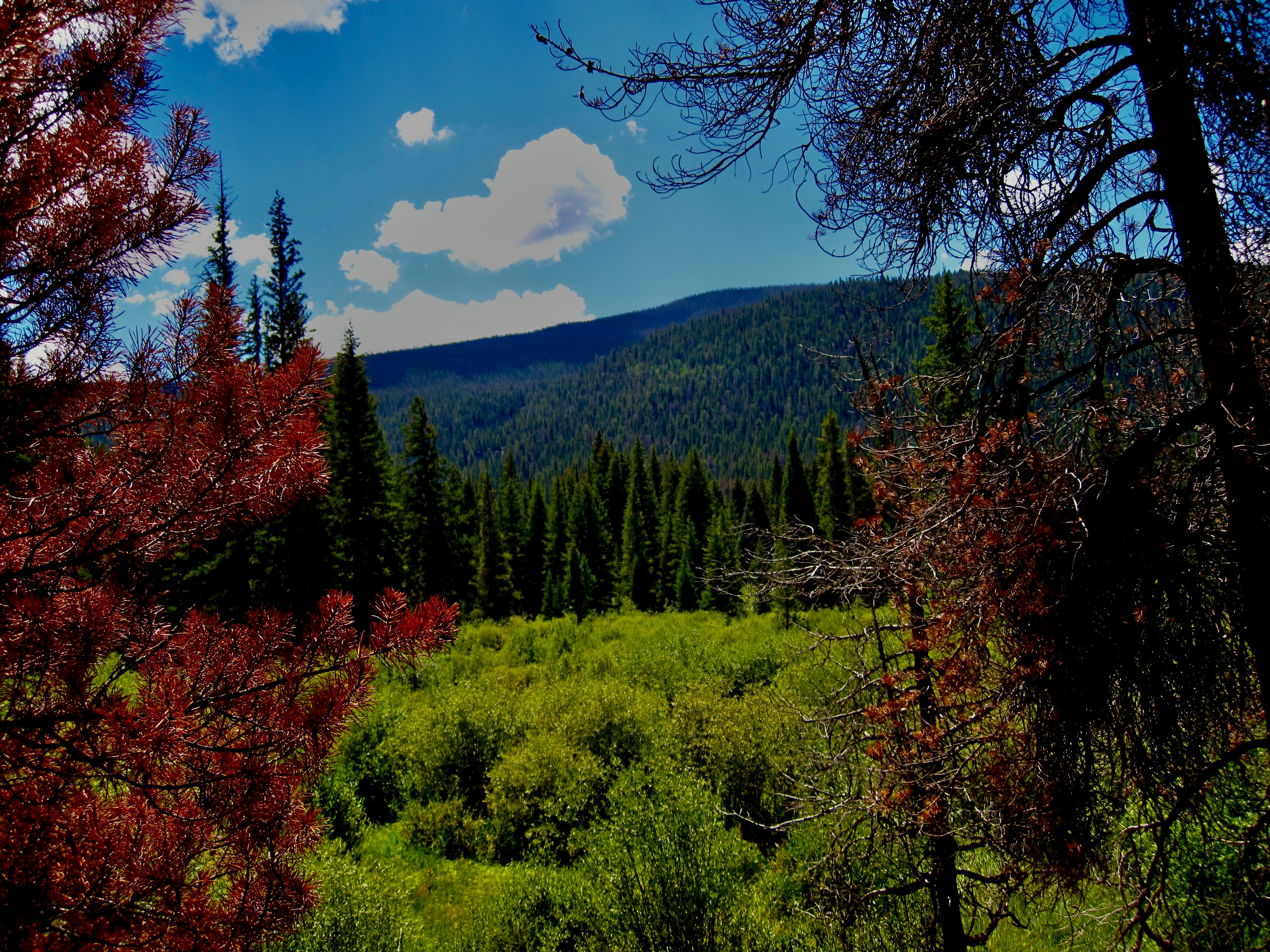 Photo by palmspringsdon