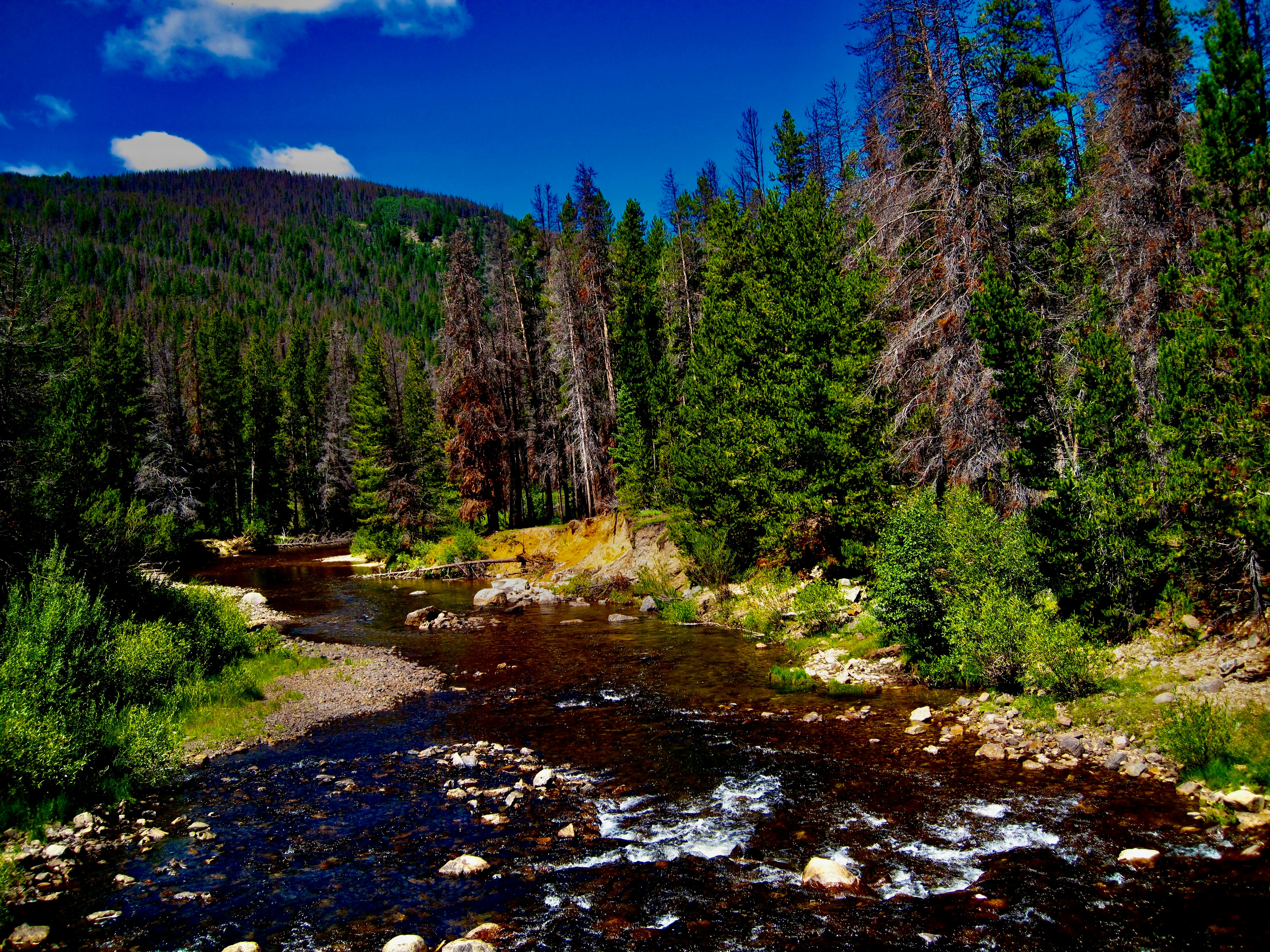 Photo by palmspringsdon