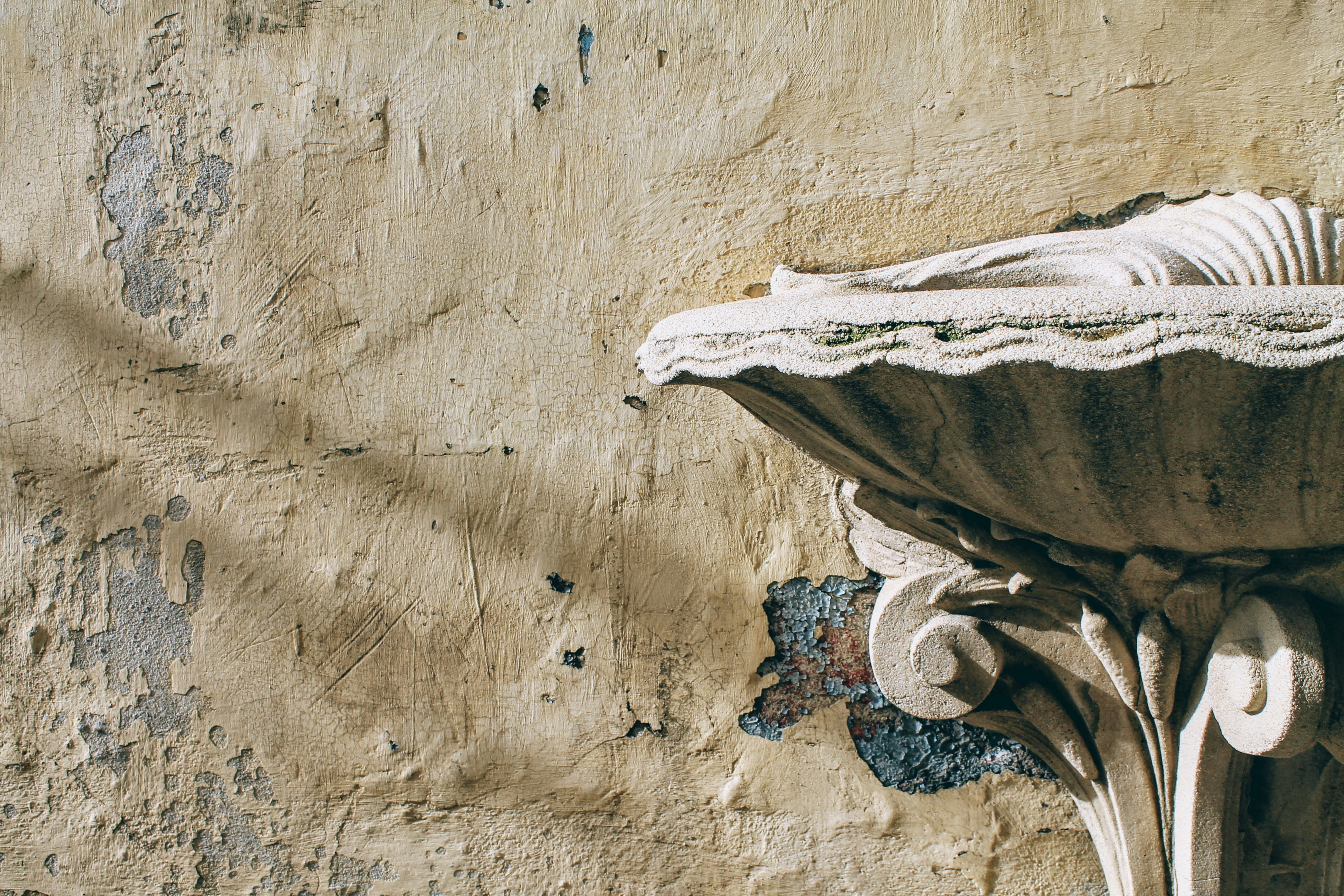 white and black fish on brown concrete wall