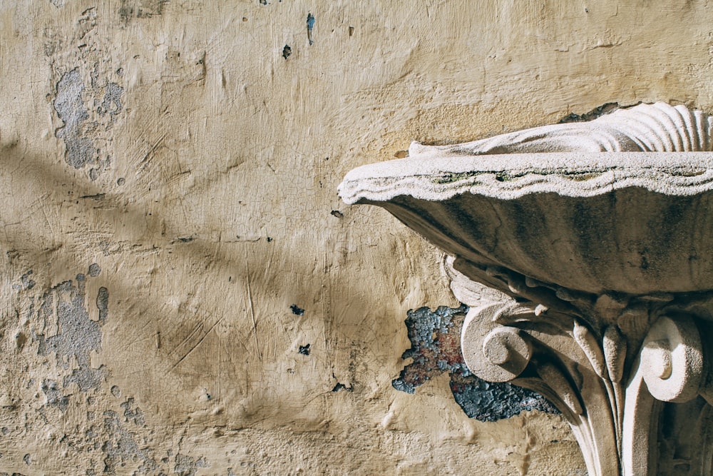 white and black fish on brown concrete wall