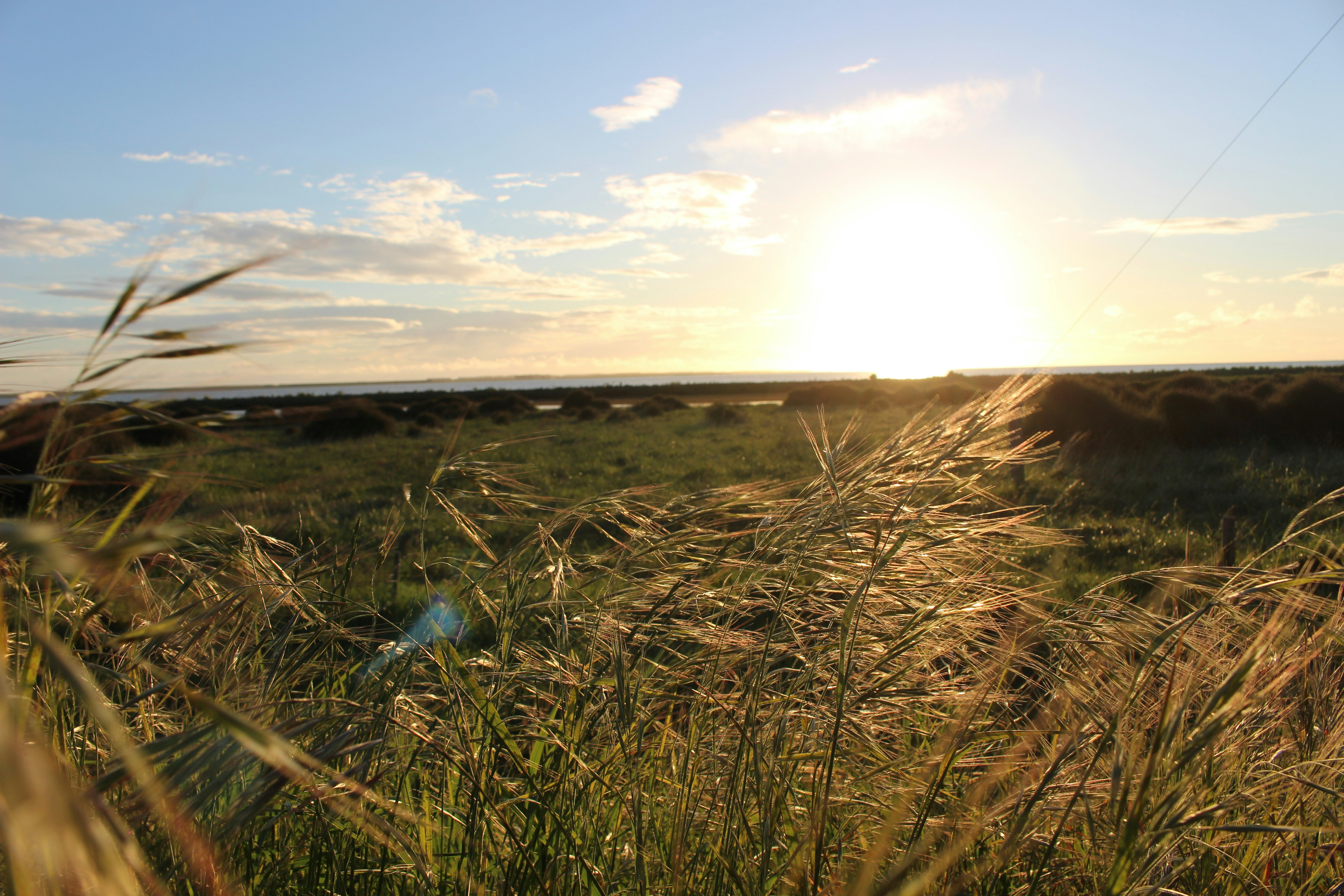 Photo by natski_takada