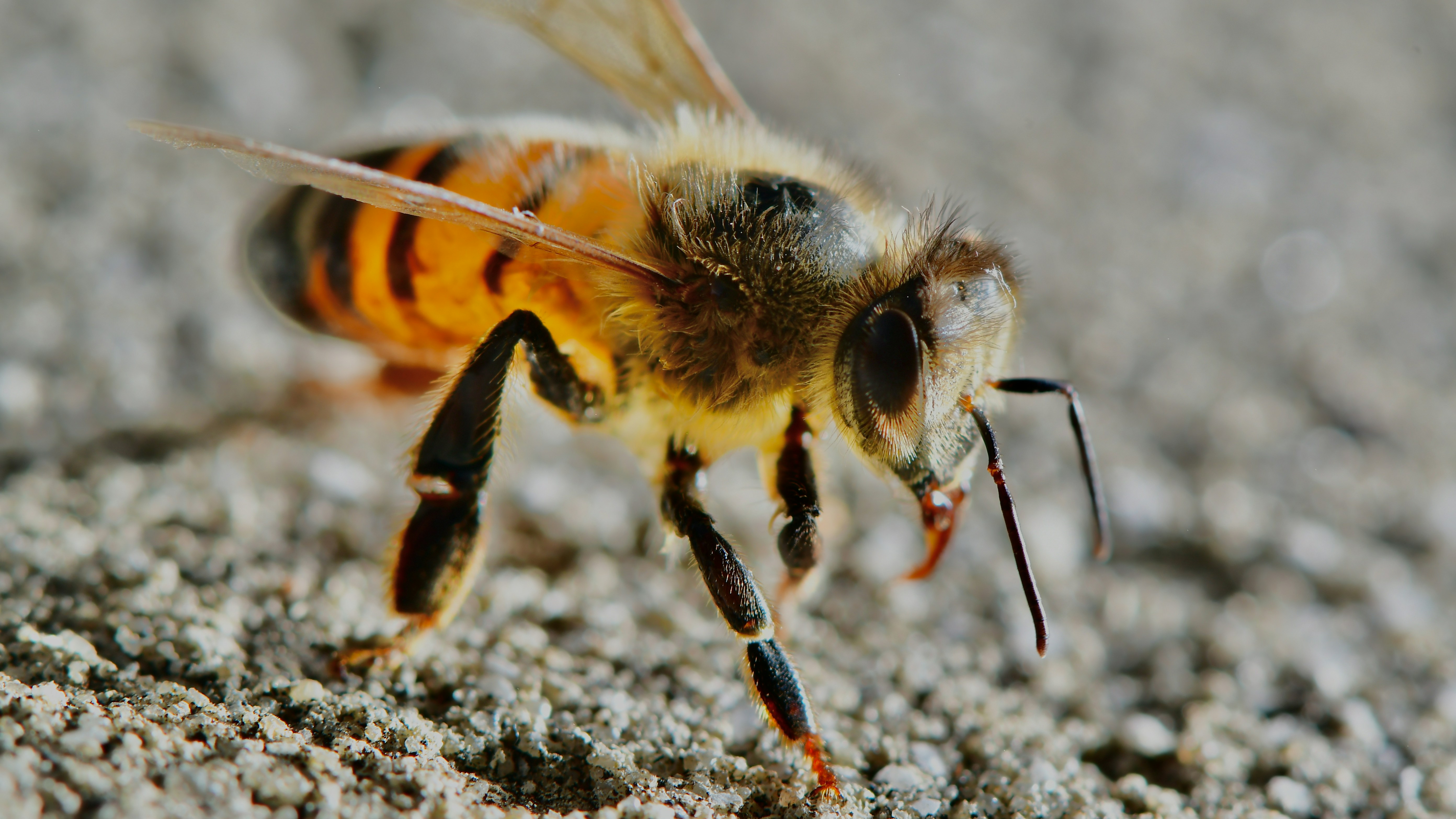 Photo by juanmascan1978