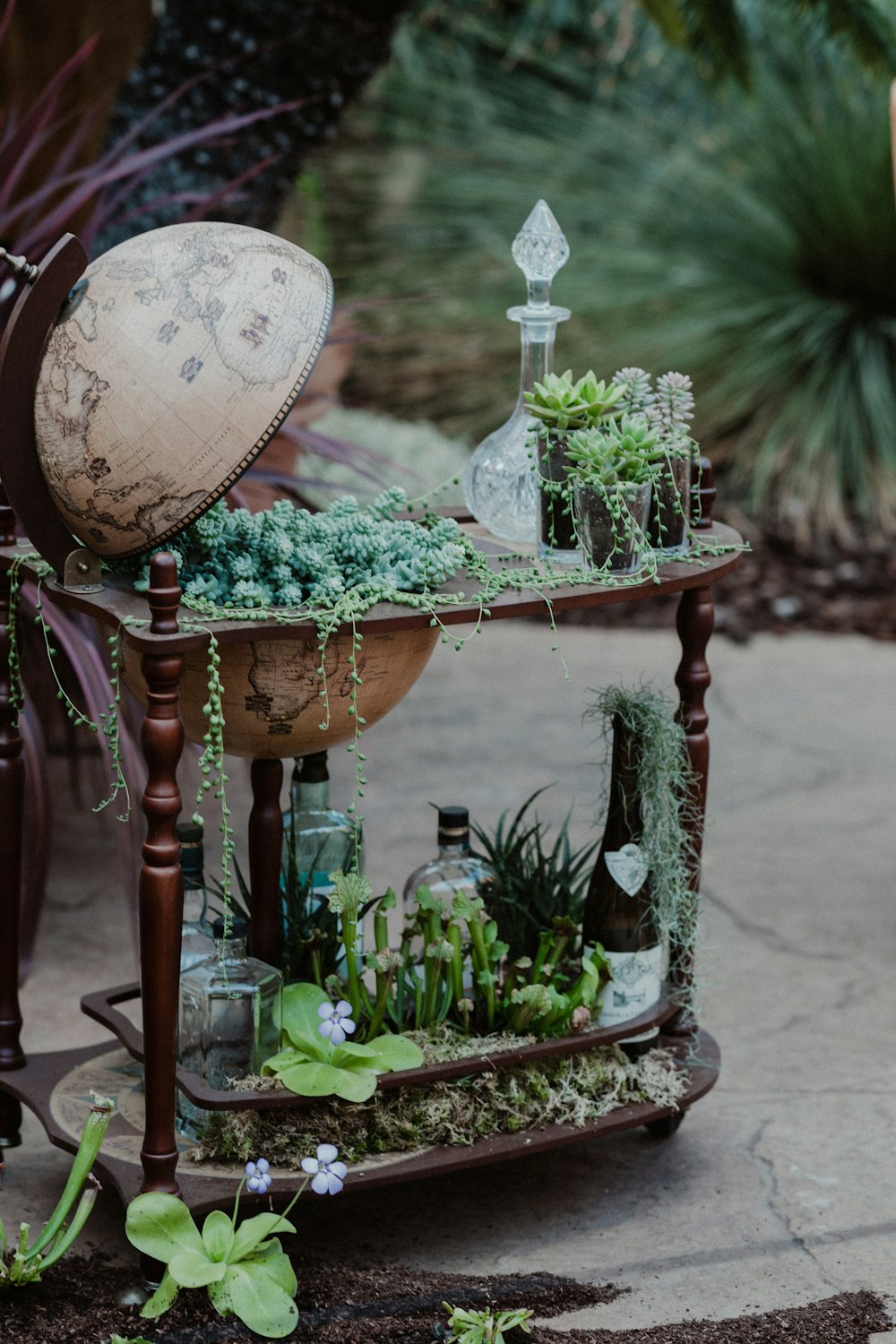 brown wooden round table with green plants