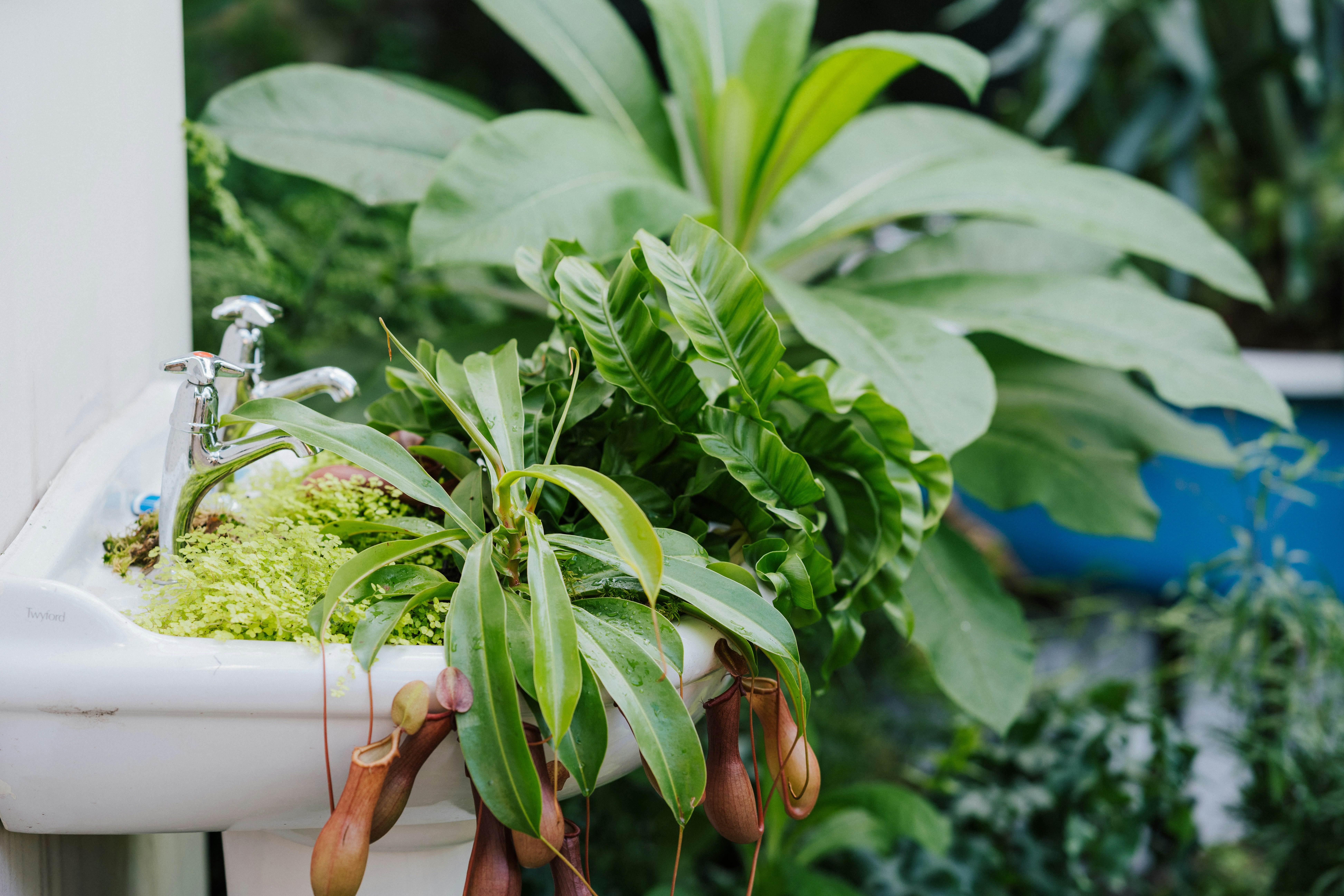 Photo by anniespratt