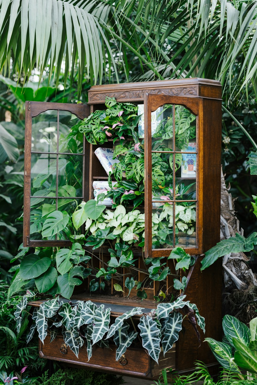 green plants on brown wooden framed glass window