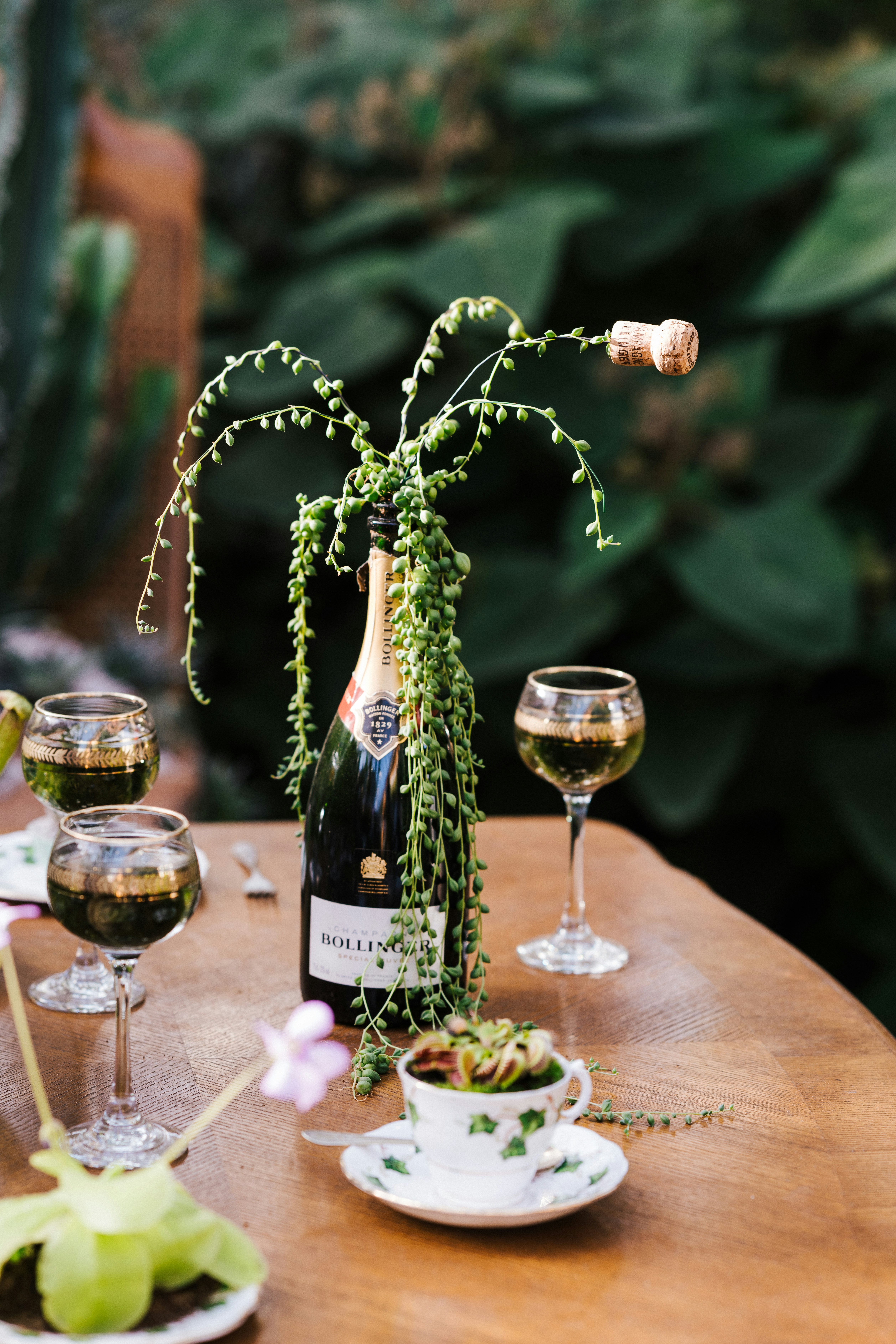 Photo by anniespratt