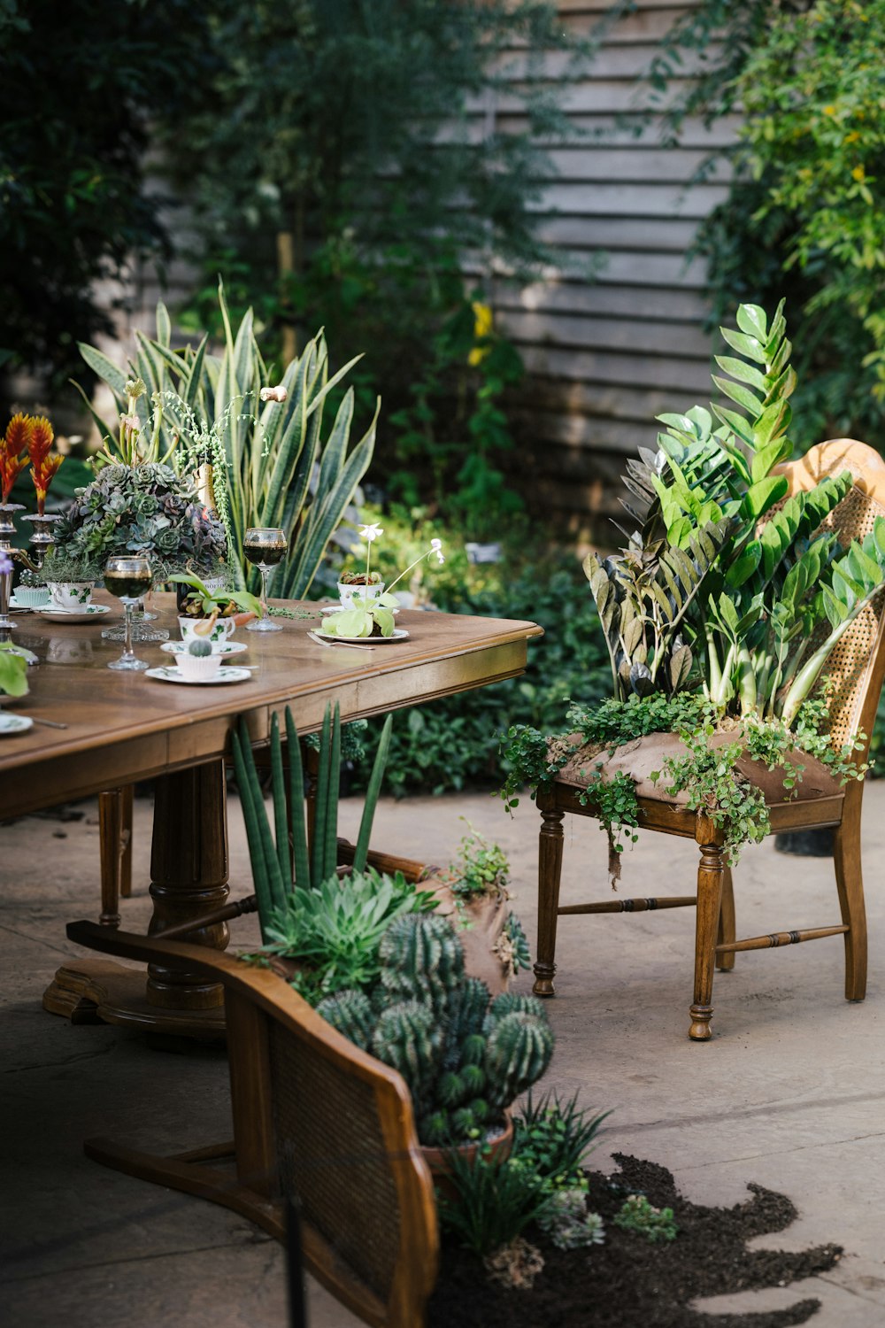 a wooden table topped with lots of plants