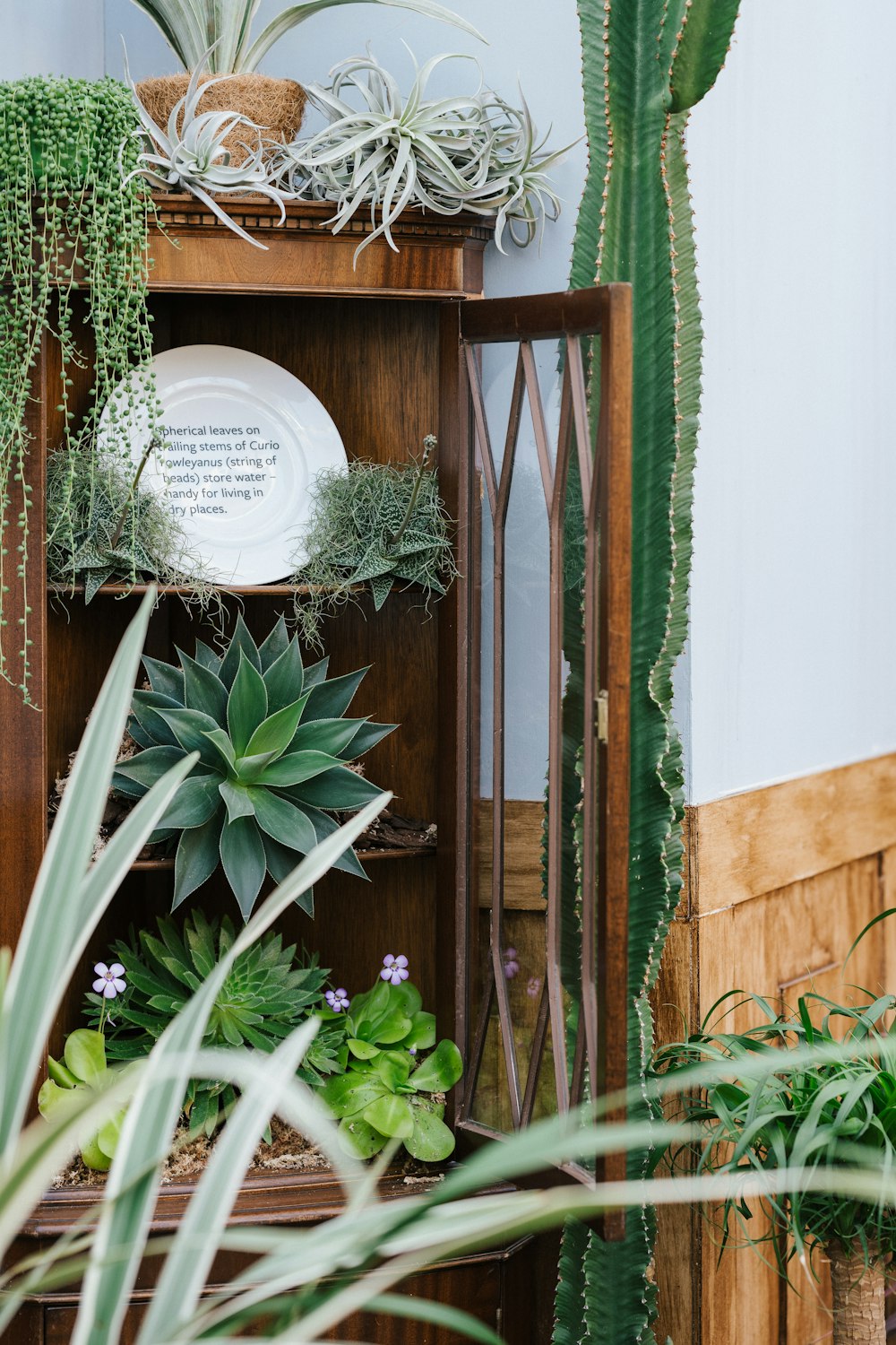 green and brown wooden door