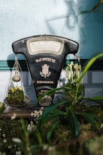 Estrategias para mejorar convivencia en familia