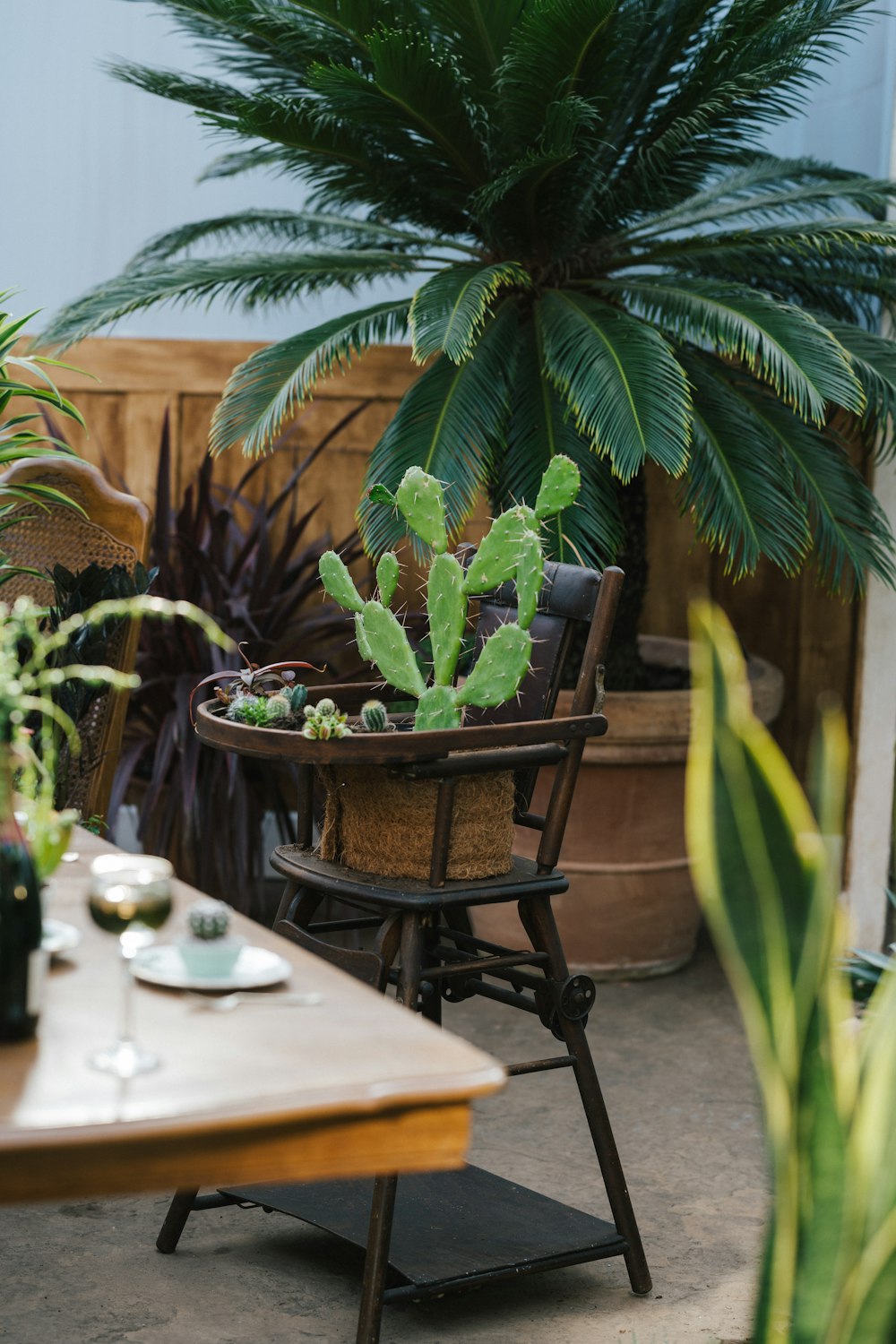 green plant on brown wooden table