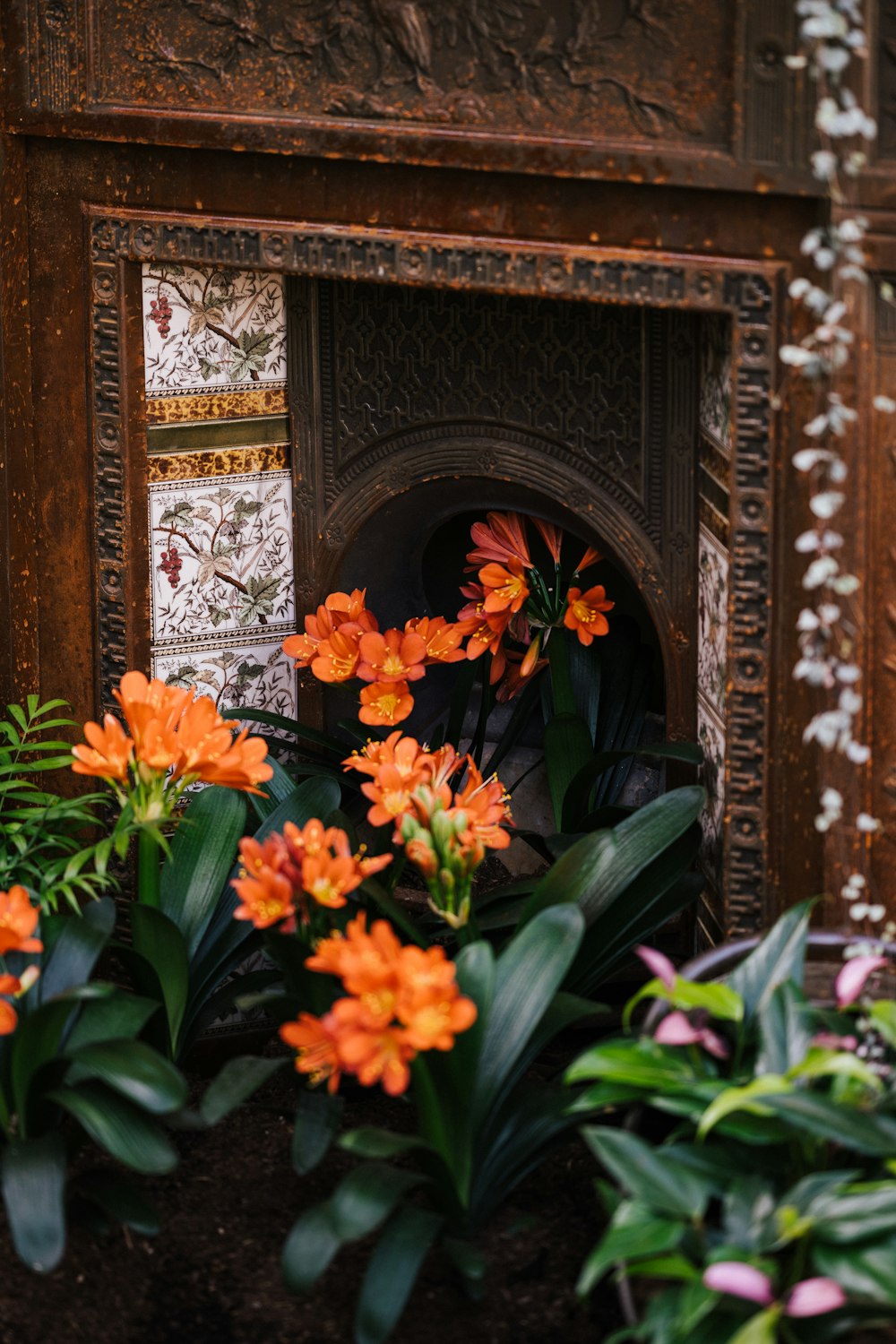 orange flowers in green leaves