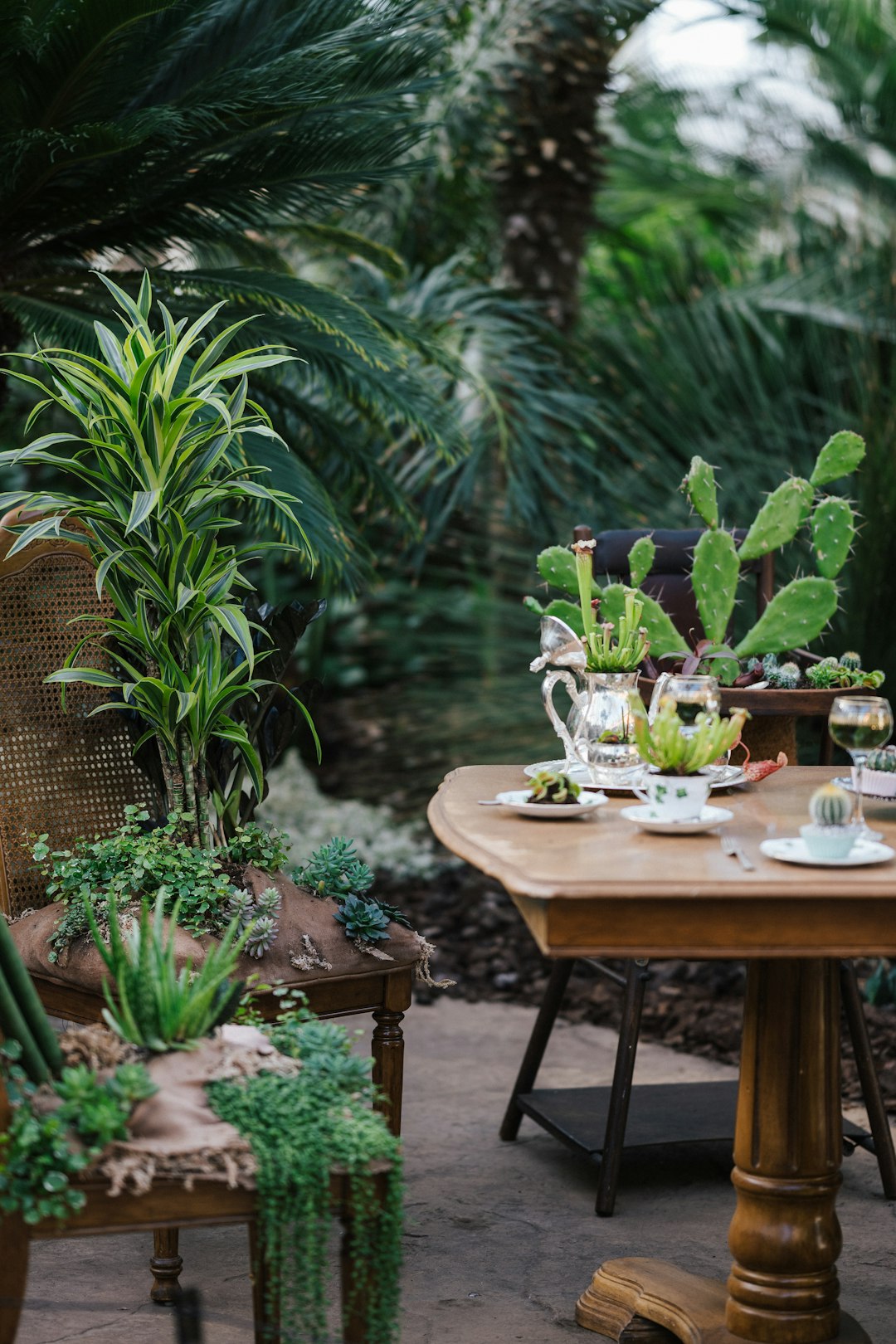 brown wooden table with green plant on top