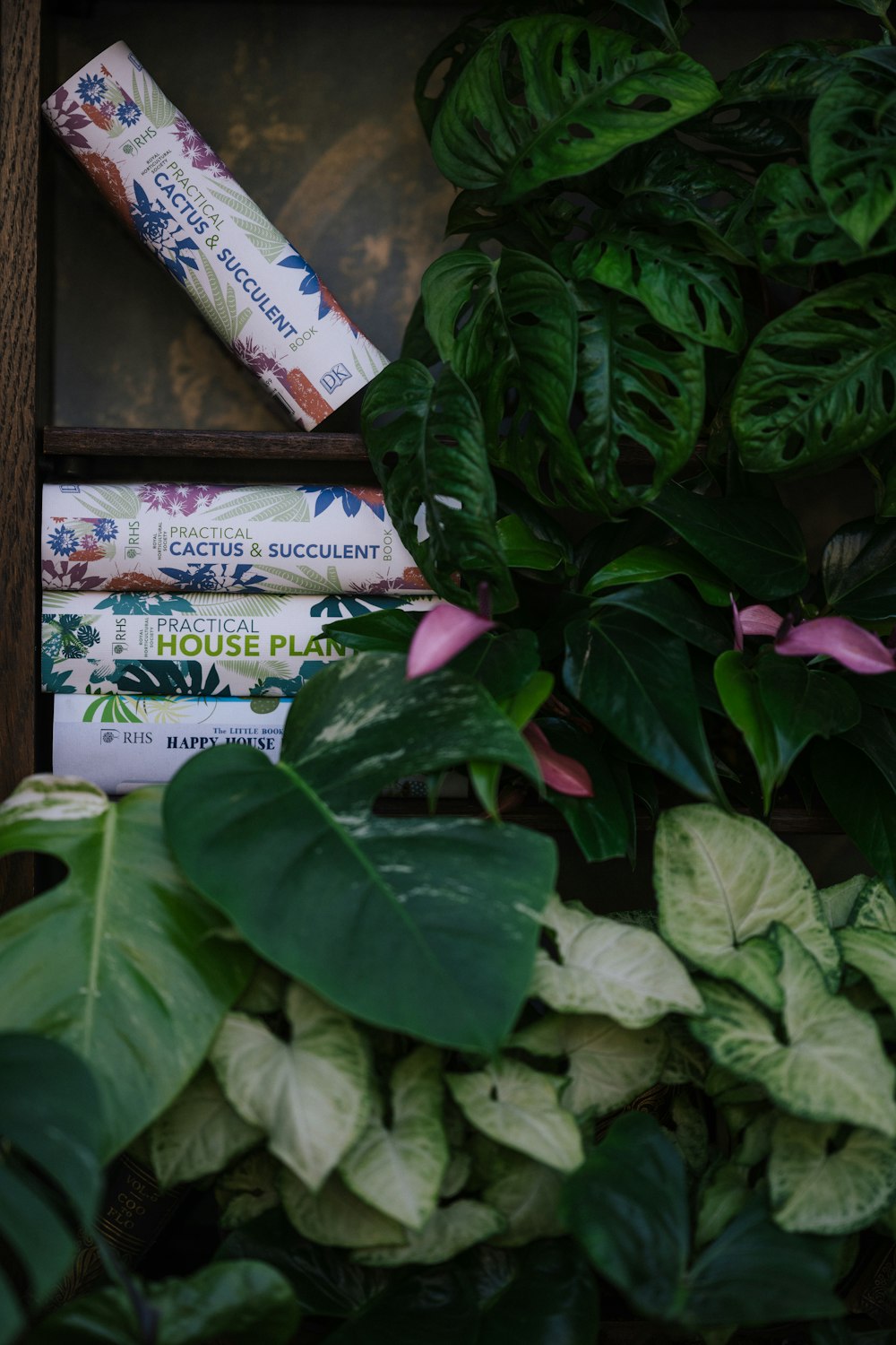 green leaves and white and blue labeled book