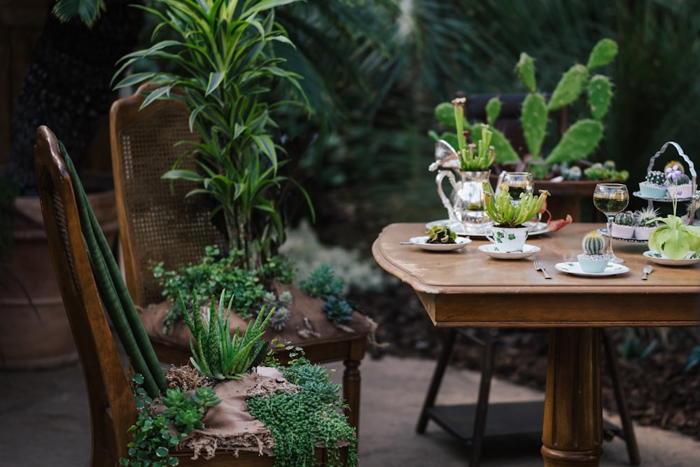 green potted plant on brown wooden table