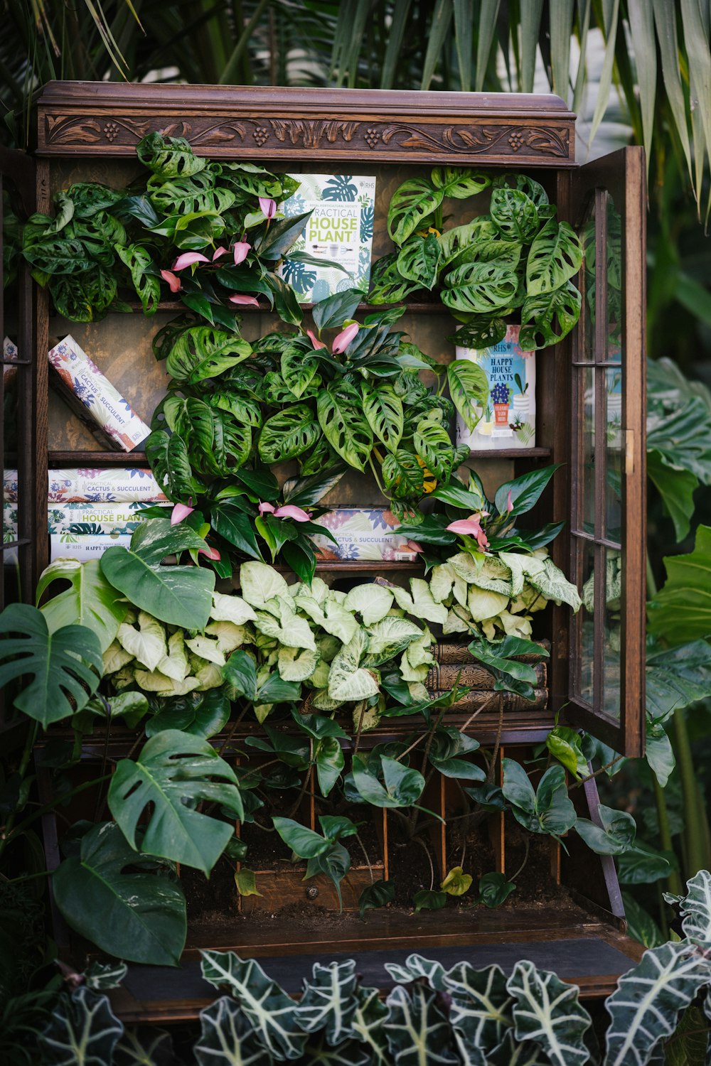 green leaves on brown wooden window