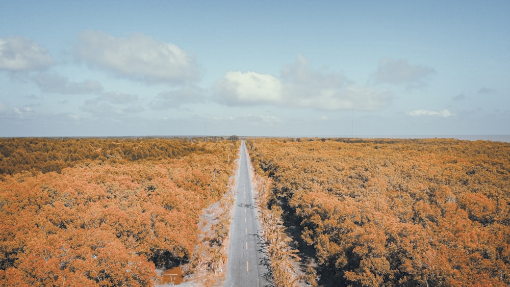 gray asphalt road between brown grass field under blue sky during daytime