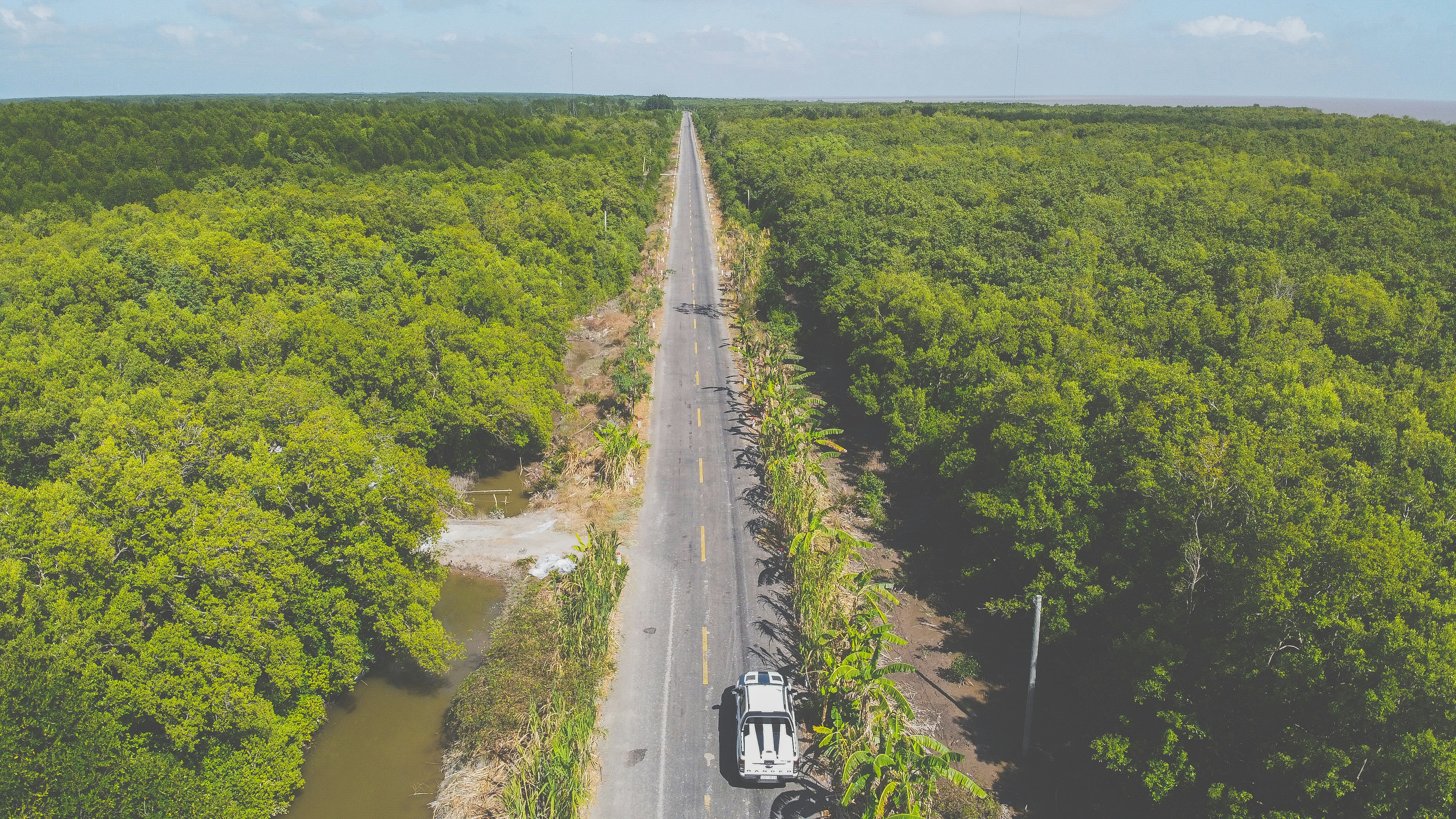 white van on road between green trees during daytime