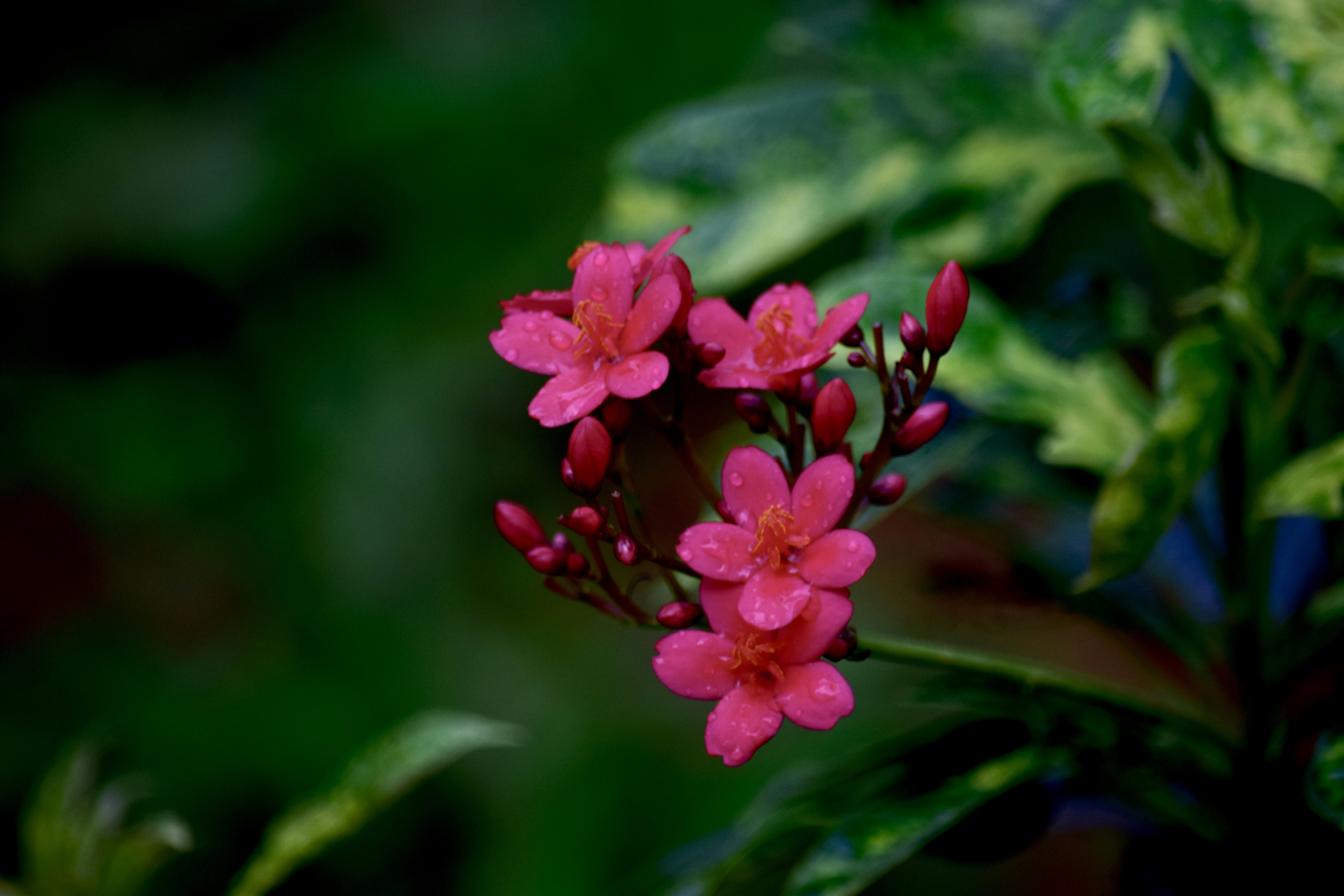 Photo by rrajputphotography