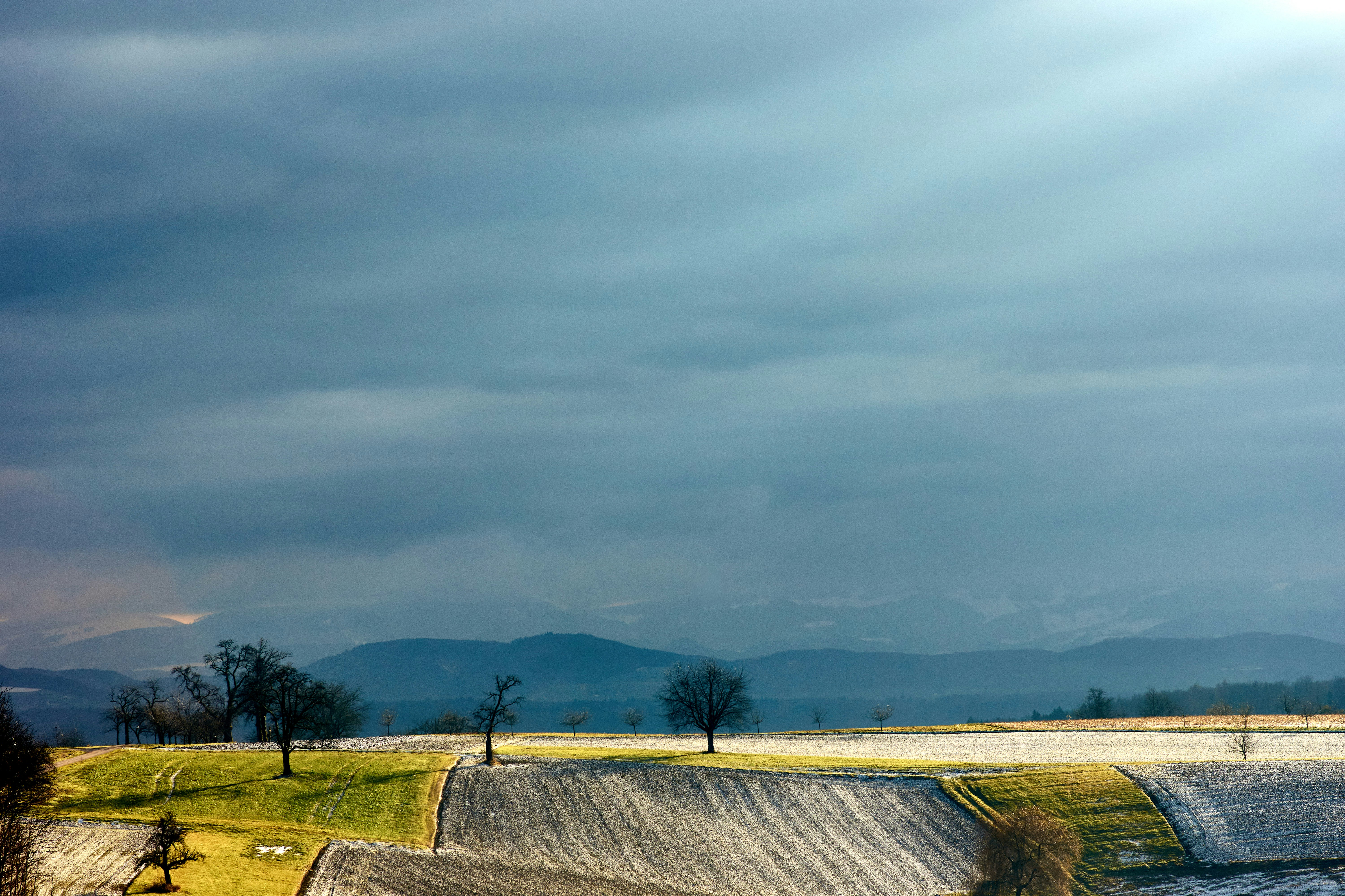 Photo by wolfgang_hasselmann