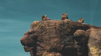 Three lions rest majestically atop a rock formation that resembles the face of a lion. The sky in the background is clear with a deep blue color, highlighting the grandeur of the scene.