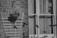 A monochrome image featuring a brick wall with a wooden trellis and a hanging flower basket. Birds are captured mid-flight, creating a sense of motion. On the right, a window with curtains is framed in the background along with several bird feeders.