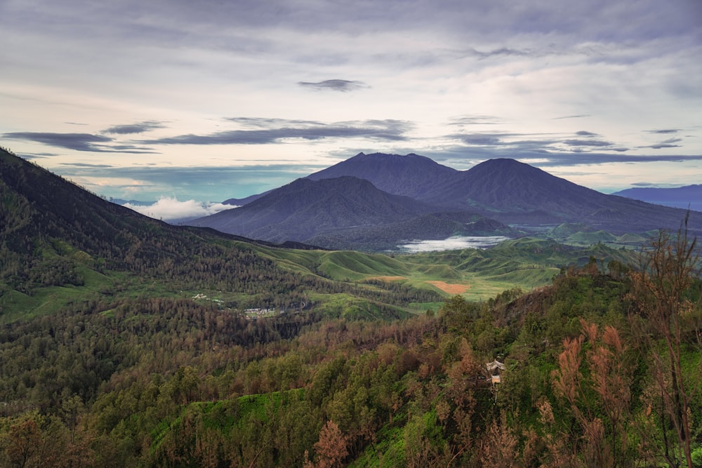 green trees near mountain under cloudy sky during daytime