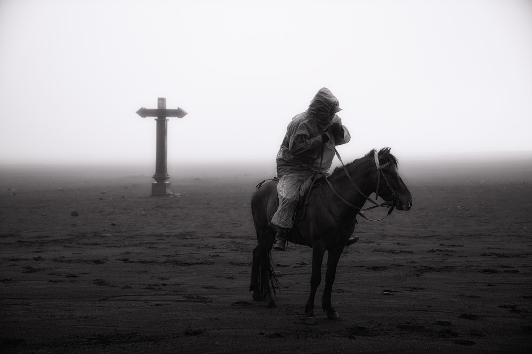 grayscale photo of woman riding on horse on beach