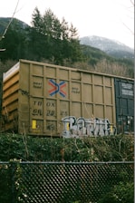 A freight train car with graffiti on its side is situated in front of a chain-link fence, surrounded by dense vegetation. In the background, a line of pine trees and snow-capped mountains rise under an overcast sky.