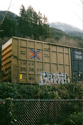 A freight train car with graffiti on its side is situated in front of a chain-link fence, surrounded by dense vegetation. In the background, a line of pine trees and snow-capped mountains rise under an overcast sky.