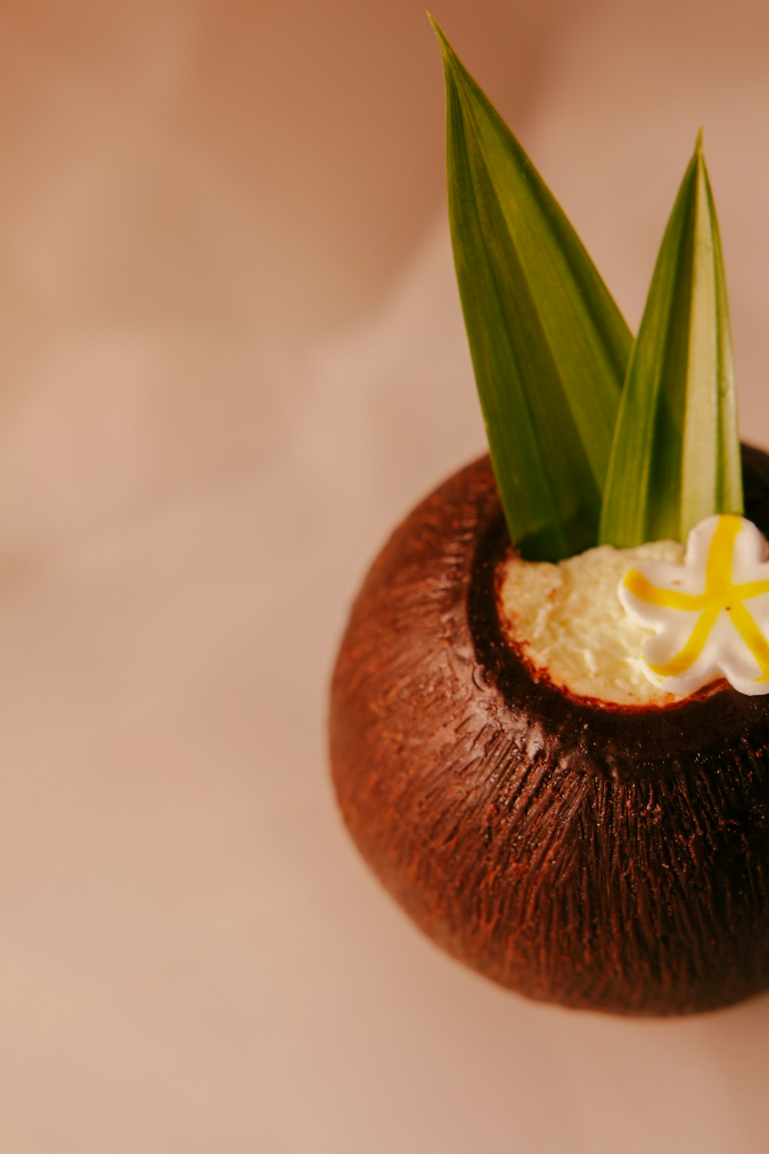 brown and white round fruit