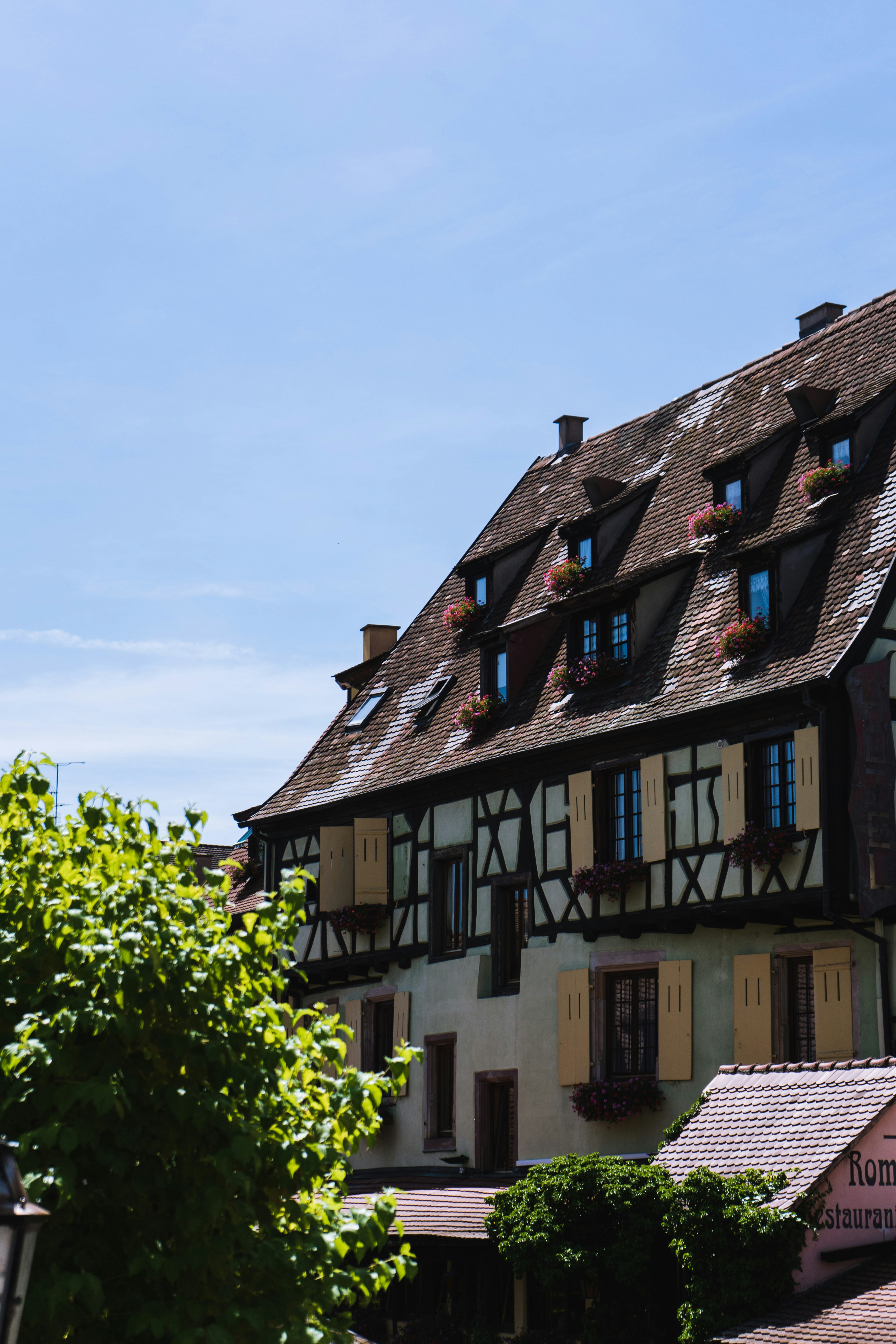 Photo by virussinside