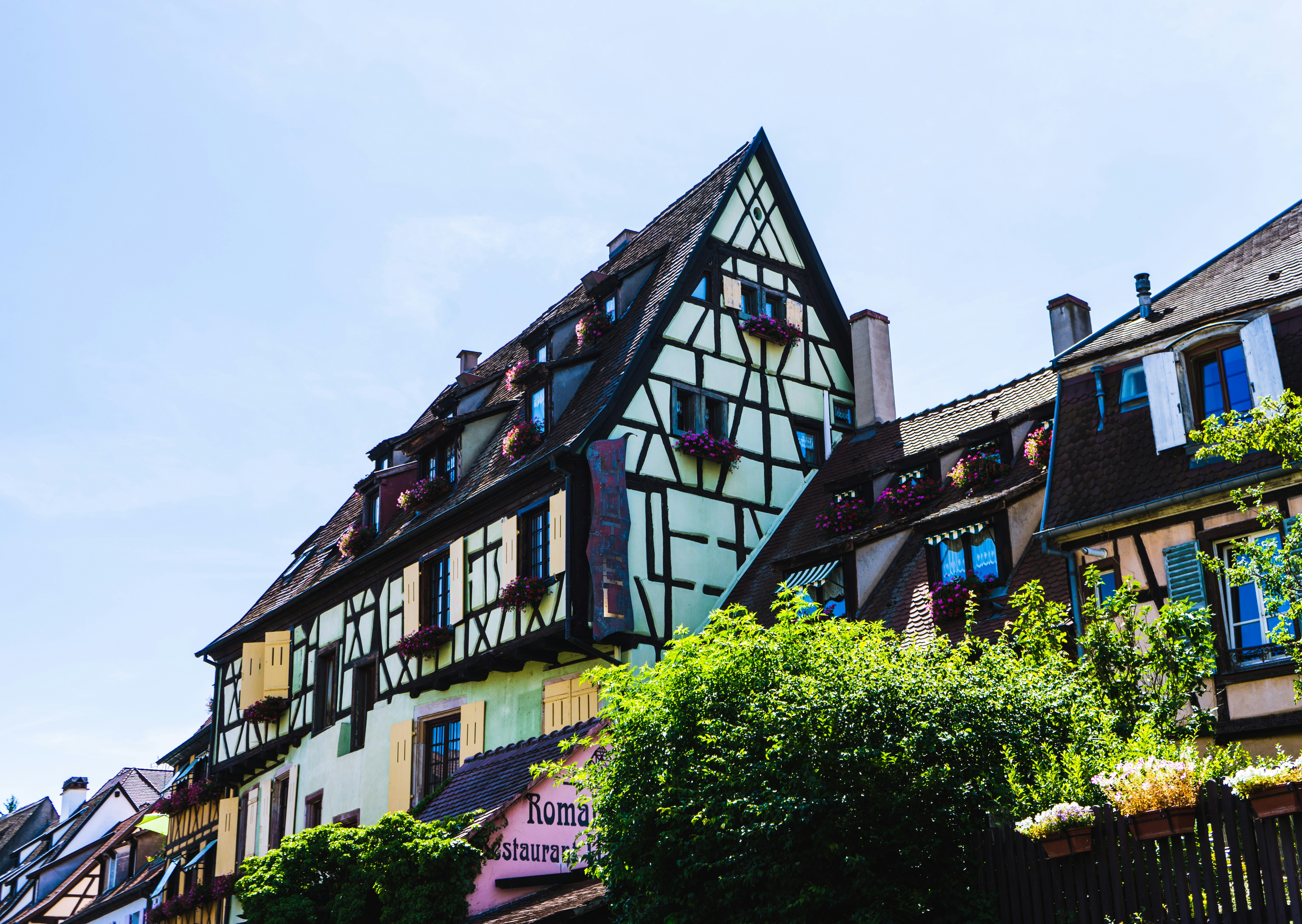 Photo by virussinside