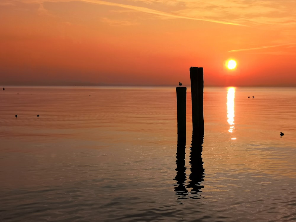 brown wooden post on sea shore during sunset