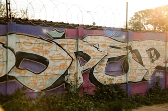 Intricate graffiti art covers a concrete wall with vibrant colors, featuring a mix of bold letters and abstract shapes. The artwork is framed by barbed wire along the top of the wall, with a natural environment including grass and trees in the background. The colors are artistic and the textures are varied, creating a dynamic visual impact.