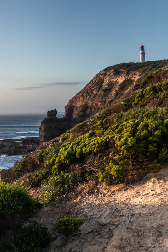 white and brown lighthouse on brown and green mountain near body of water during daytime in RACV Cape Schanck Resort Australia