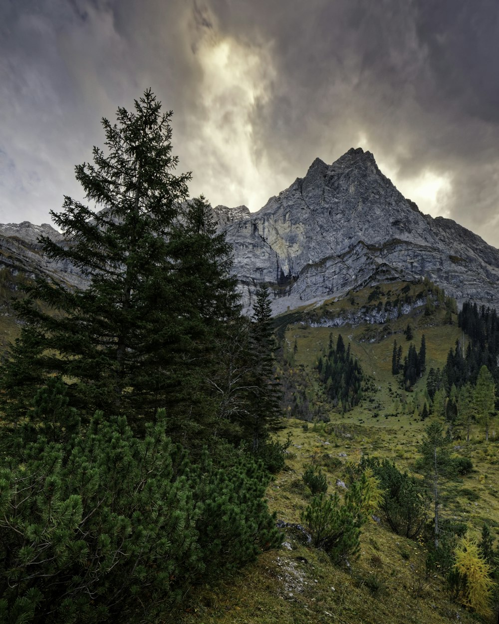 green trees near mountain under cloudy sky during daytime