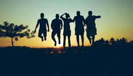 silhouette of people standing on grass field during sunset