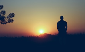 silhouette of man standing on grass field during sunset
