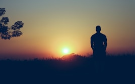 silhouette of man standing on grass field during sunset