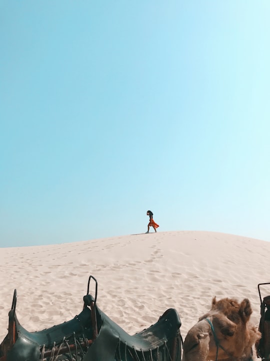 people walking on sand dunes during daytime in Port Stephens NSW Australia