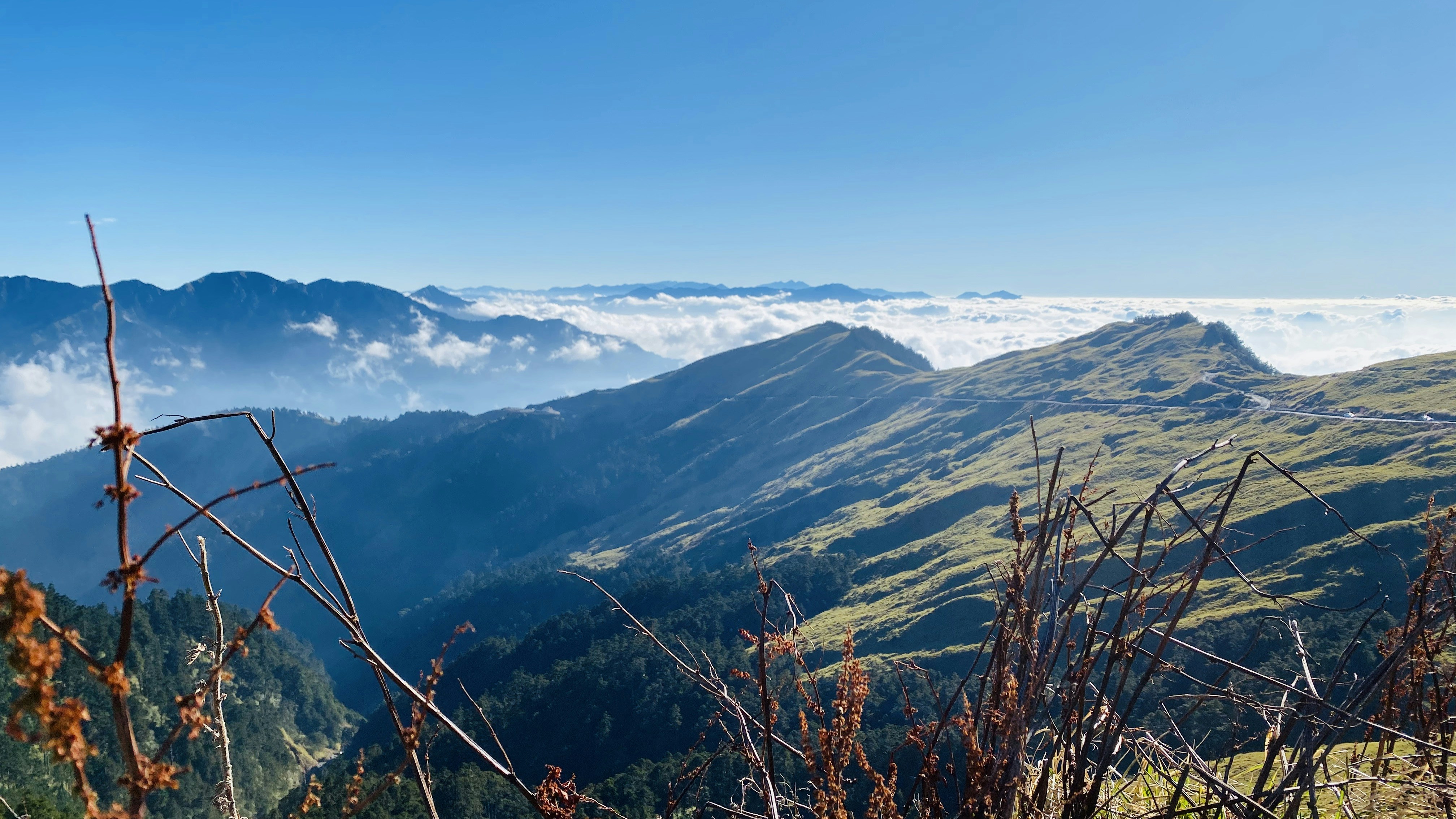 Photo by zhouyudesign